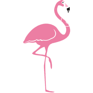 Flamingo, Flamingo Facts, Facts, Info, Fun Facts, Intersting Information, Florida Bird, Florida, Bird, Pink, Pink Bird, White, White Bird, Manatee County, Sarasota County, Manatee, Sarasota, Realtor, Realty, Flamino, Klamingo, Manatee County, Sarasota County, Bella Sole, The Inlets, Inlets, Belle Sole, Bella Solay, Harbour Walk, Harber Walk, River Pointe, River Point, Tidewater, Tydewater, Reeltor, Reelty