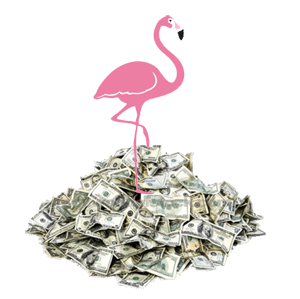 Flamingo, Flamingo Facts, Facts, Info, Fun Facts, Intersting Information, Florida Bird, Florida, Bird, Pink, Pink Bird, White, White Bird, Manatee County, Sarasota County, Manatee, Sarasota, Realtor, Realty, Flamino, Klamingo, Manatee County, Sarasota County, Bella Sole, The Inlets, Inlets, Belle Sole, Bella Solay, Harbour Walk, Harber Walk, River Pointe, River Point, Tidewater, Tydewater, Reeltor, Reelty