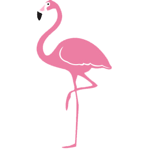 flamingo, pink bird, florida, florida bird, dining, waterfront dining, facts, realtor, realty, eat, breakfast, lunch, dinner, on the water, bird
